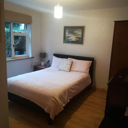 Cosy Apartment Holywood  Bagian luar foto