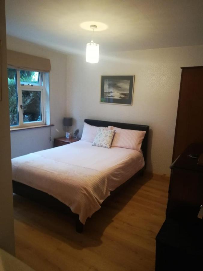 Cosy Apartment Holywood  Bagian luar foto